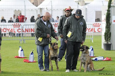 Remise des Prix 109.JPG - CHIENPLUS.COM